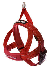 EzyDog Harness Quick Fit