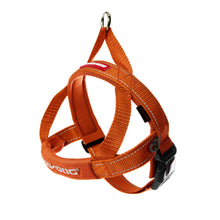 EzyDog Harness Quick Fit